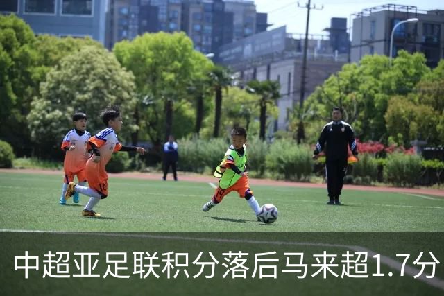 中超亚足联积分落后马来超1.7分，28/29赛季或仅剩2亚冠席位