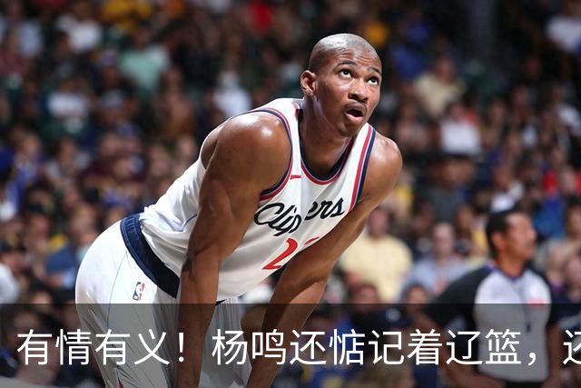 有情有义！杨鸣还惦记着辽篮，还惦记着库珀，隔空喊话太戳人了