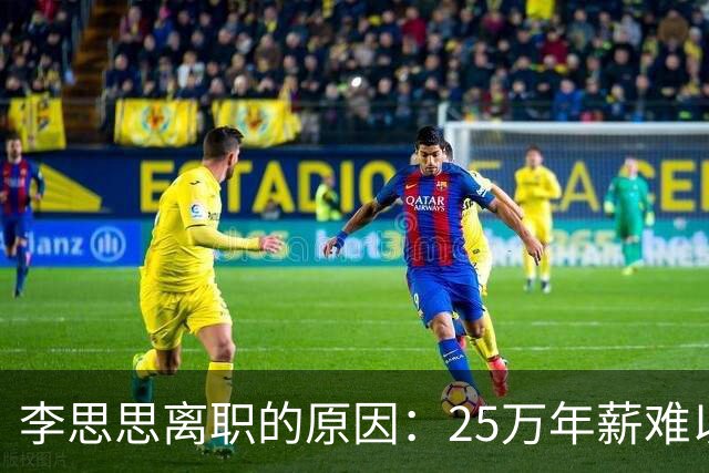 李思思离职的原因：25万年薪难以糊口！原来一切都有迹可循
