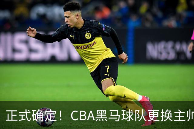 正式确定！CBA黑马球队更换主帅，许钟豪走马上任