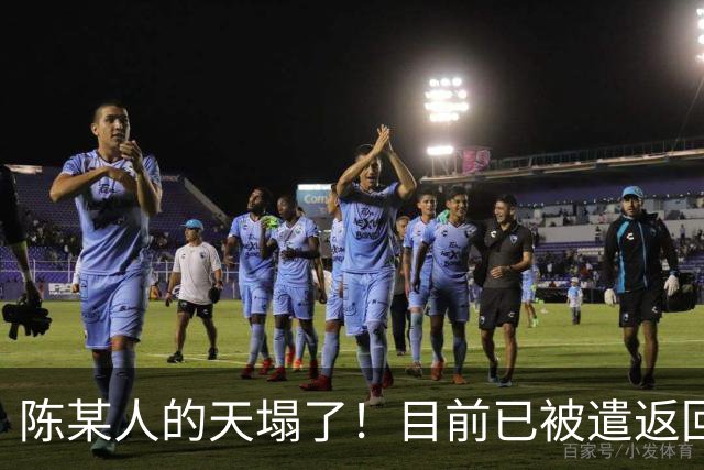 陈某人的天塌了！目前已被遣返回国