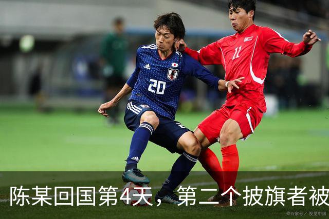 陈某回国第4天，第二个披旗者被揪了出来！现形后想销号赶紧跑路